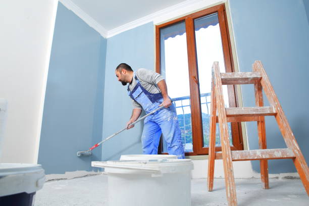 Best Attic Mold Removal  in Oglesby, IL