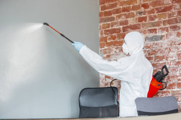 Best Industrial Mold Remediation  in Oglesby, IL