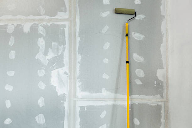 Dehumidification Services in Oglesby, IL