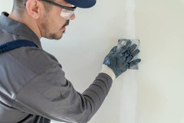 Asbestos and Lead Testing During Mold Inspection in Oglesby, IL
