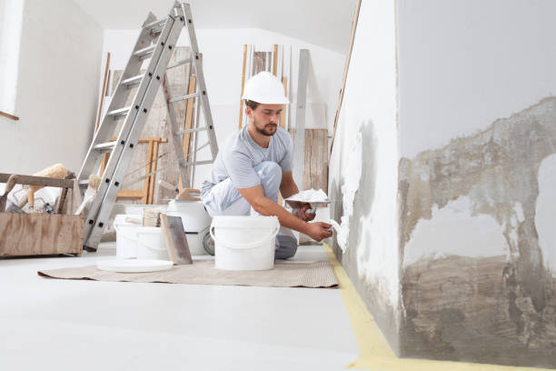 Best Mold Documentation for Insurance Claims  in Oglesby, IL
