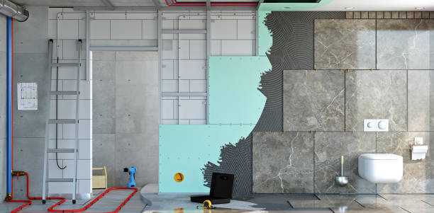 Best Post-Construction Mold Inspection  in Oglesby, IL