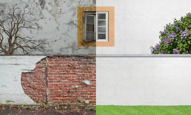 Best Basement Mold Removal  in Oglesby, IL
