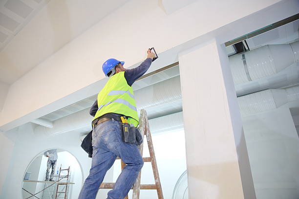Best Emergency Mold Remediation  in Oglesby, IL