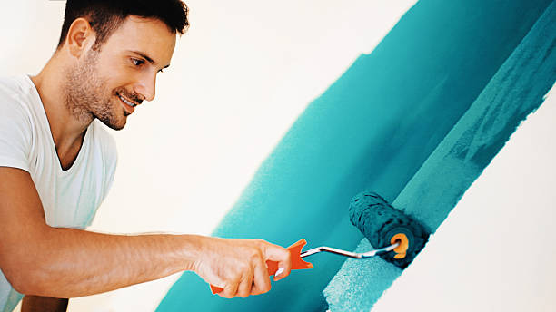 Best Asbestos and Lead Testing During Mold Inspection  in Oglesby, IL