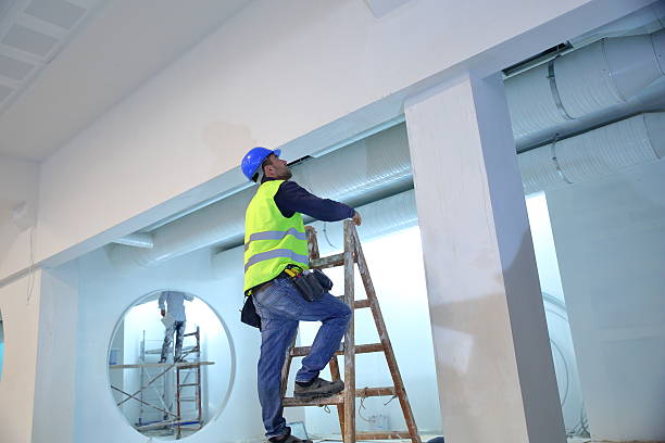 Trusted Oglesby, IL Mold Removal Experts