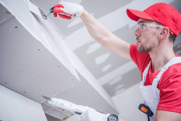 Best Residential Mold Inspection & Testing  in Oglesby, IL